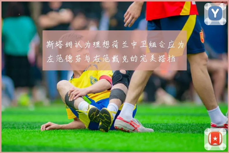 斯塔姆认为理想荷兰中卫组合应为左范德芬与右范戴克的完美搭档